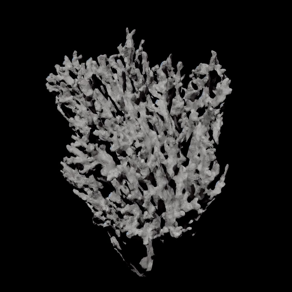 Dynamic Matter, Gabriele Gianni, 2026
