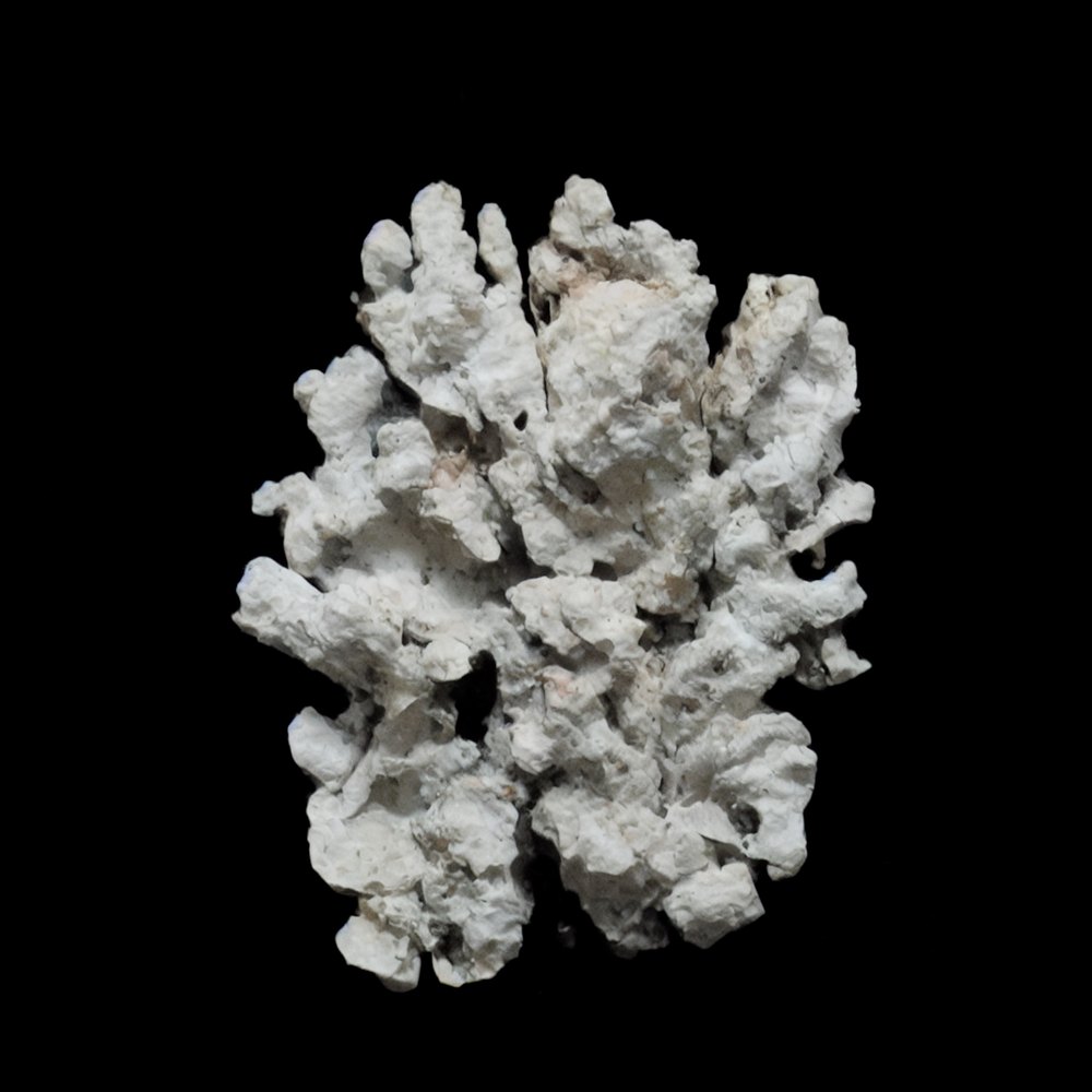 Dynamic Matter, Gabriele Gianni, 2026
