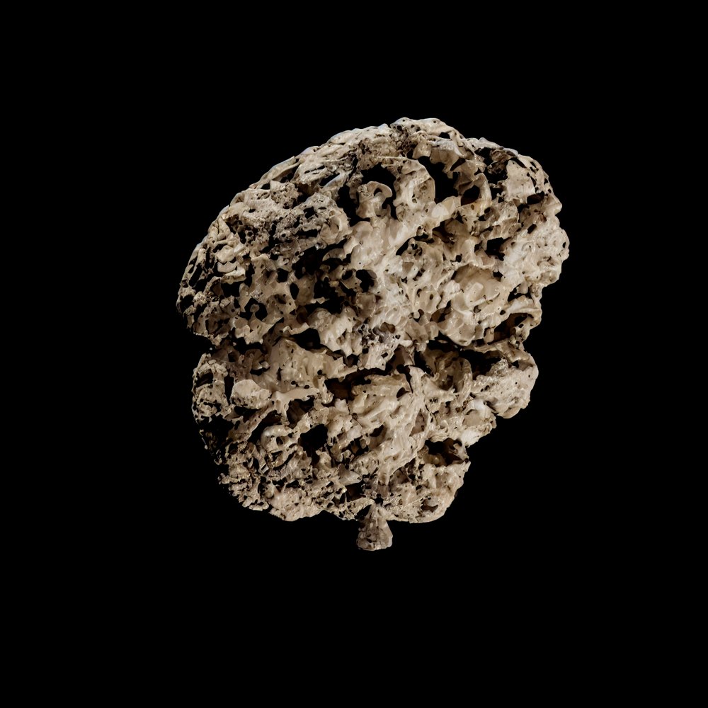 Dynamic Matter, Gabriele Gianni, 2026