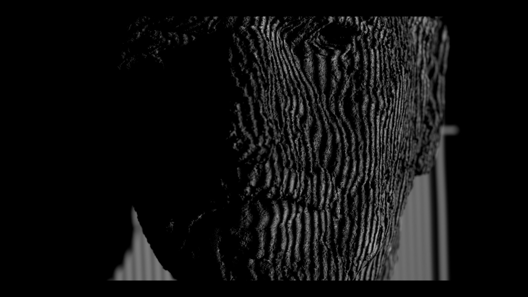 Notes on Stone, Gabriele Gianni, 2022