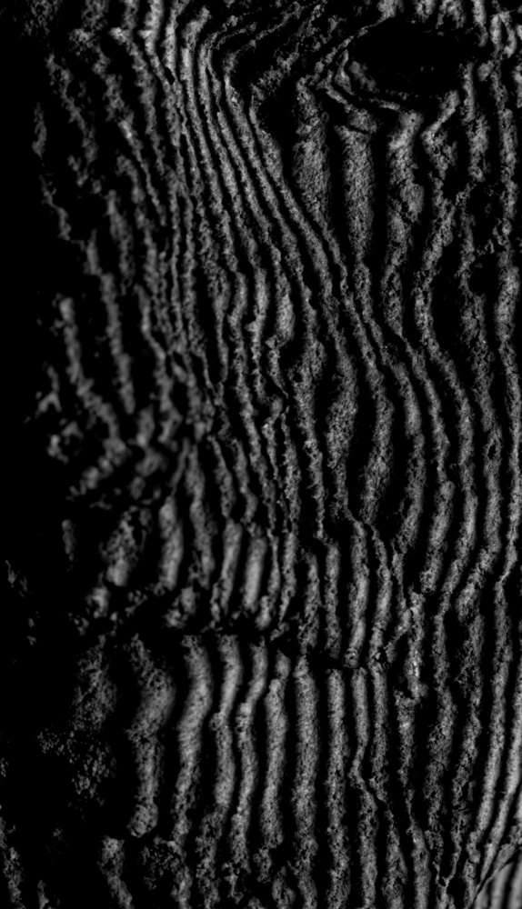 Notes on Stone, Gabriele Gianni, 2022